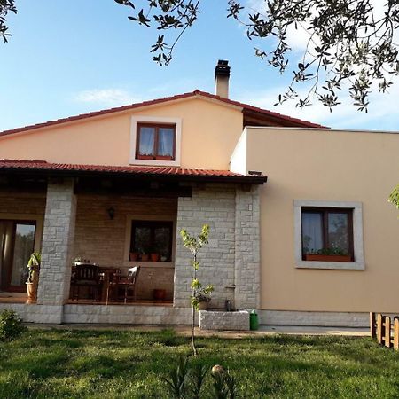 מדולין Apartman Ulika מראה חיצוני תמונה
